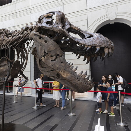 O οίκος Christie’s ακύρωσε τη δημοπρασία σκελετού T-Rex- Προέκυψαν αμφιβολίες