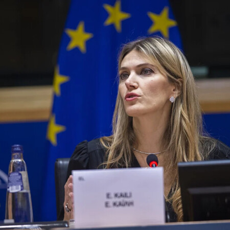 Η Εύα Καιλή στο ευρωκοινοβούλιο