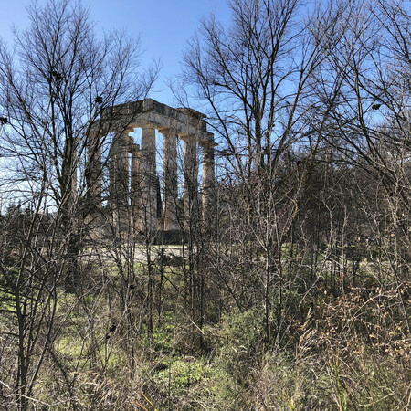 Αρχαία Νεμέα: Η εντυπωσιακή αναστήλωση του ναού του Δία
