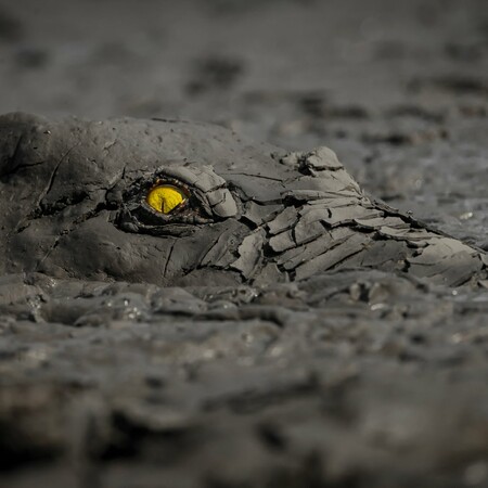 Βραβεία World Nature Photography: Το φυσικό περιβάλλον με φρέσκια προοπτική