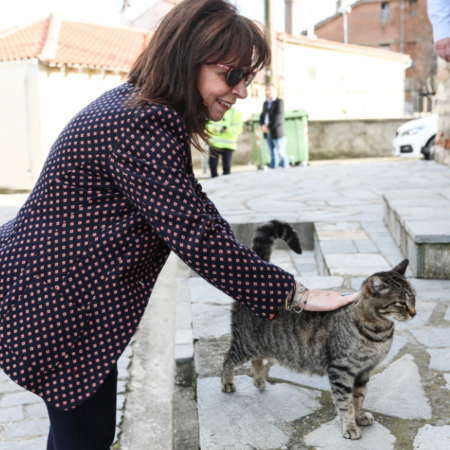 Σακελλαροπούλου: Τα αδέσποτα θα ήταν οι πιο ανιδιοτελείς μας φίλοι