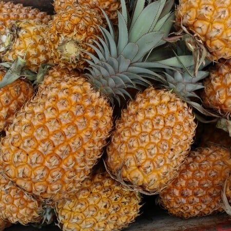 ΑΑΔΕ: Εντοπίστηκαν 419 κιλά κοκαΐνης σε κιβώτια με ανανάδες από την Κόστα Ρίκα