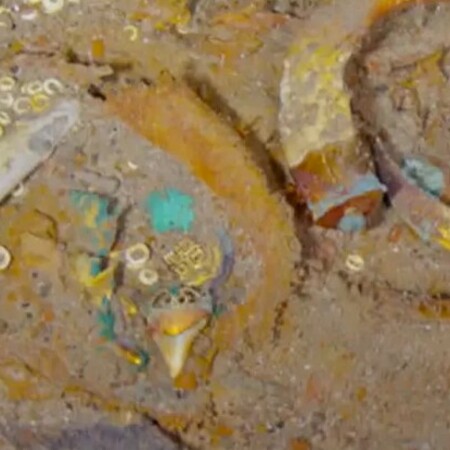 Βρήκαν κολιέ με δόντι εξαφανισμένου καρχαρία στον Τιτανικό- και ψάχνουν ποια το φορούσε