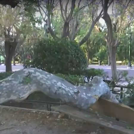 Ζάππειο: Τεράστιο κλαδί έπεσε πάνω σε τρεις τουρίστες