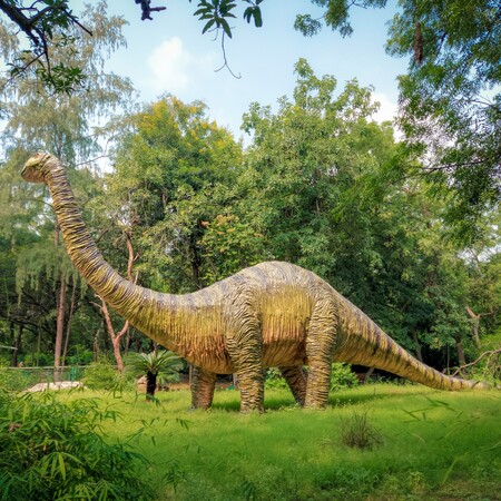 Ανακαλύφθηκε νέο είδος δεινόσαυρου στη Γιούτα – Φως σε πληροφορίες για τις περιβαλλοντικές αλλαγές πριν από 100 εκατ. χρόνια