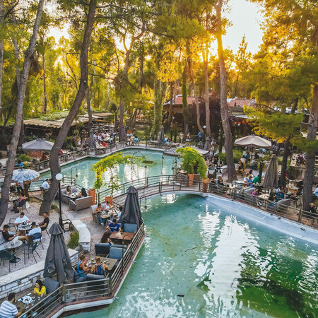 Piu Verde