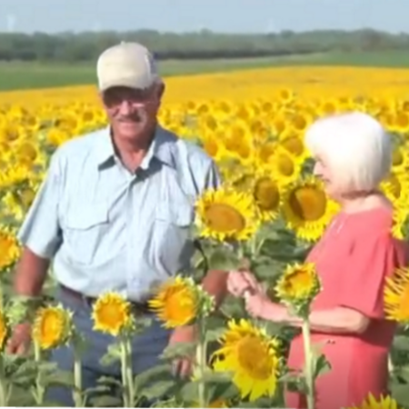 Φύτεψε τεράστιο χωράφι με ηλίανθους για τη σύζυγό του – Δώρο για την 50η επέτειό τους