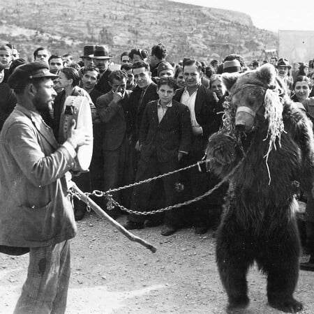 Οι Έλληνες ανέκαθεν φέρονταν στα ζώα με σκληρότητα