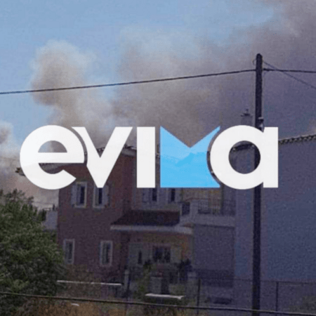 Φωτιά στα Ψαχνά: Ήχησε το 112, κοντά σε σπίτια οι φλόγες