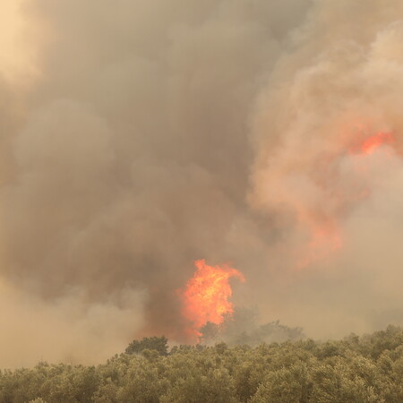 Φωτιές σε Καβάλα και Κομοτηνή: Μήνυμα 112 για εκκενώσεις οικισμών