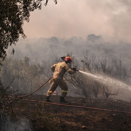 Φωτιά σε Αλεξανδρούπολη και Πάρνηθα- 476 πυροσβέστες στο μέτωπο του Έβρου