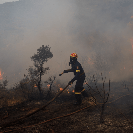 Εντοπίστηκε απανθρακωμένη σορός σε δάσος στα Λεχαινά