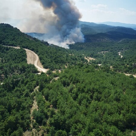 Αποτίμηση επιπτώσεων από την πυρκαγιά στο Εθνικό Πάρκο Δάσους Δαδιάς - Λευκίμης Σουφλίου