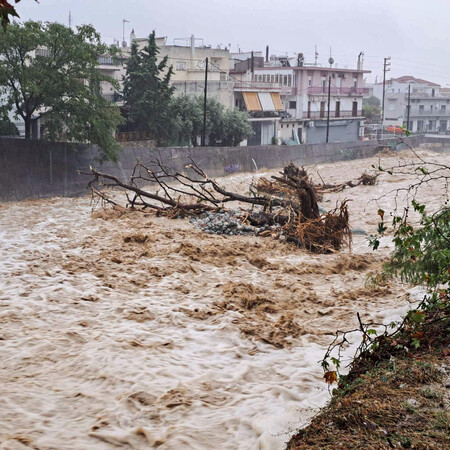 Βόλος: Ακατάλληλος για αλίευση ο Παγασητικός- Εξετάζεται χρηματοδότηση στους ψαράδες