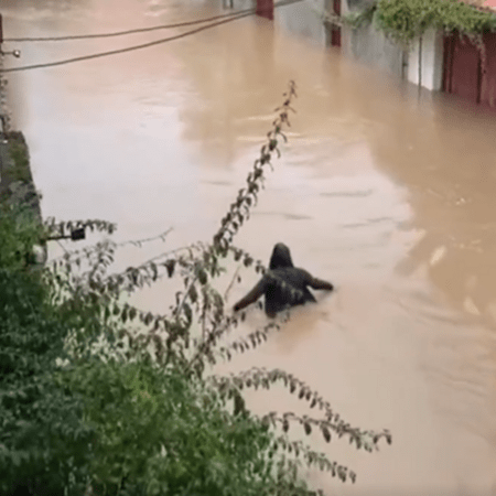 Πλημμύρες στο Ιράν: Σημειώθηκαν οι σφοδρότερες βροχές του αιώνα