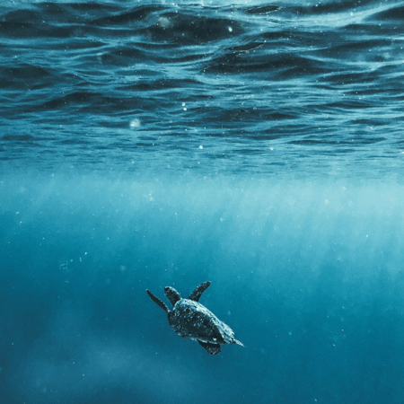 ΟΗΕ: 67 κράτη υπέγραψαν τη συνθήκη για την Ανοιχτή Θάλασσα