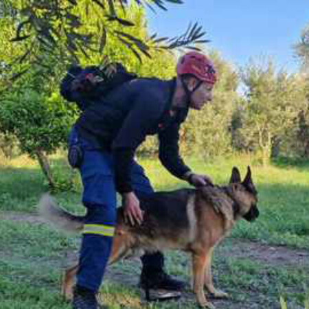 Φθιώτιδα: Γυναίκα εξαφανίστηκε από το σπίτι της