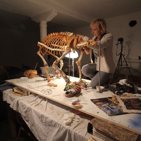 Ανασύνθεσαν σκελετό αρκούδας που είχε πεθάνει από δηλητηριασμένο δόλωμα