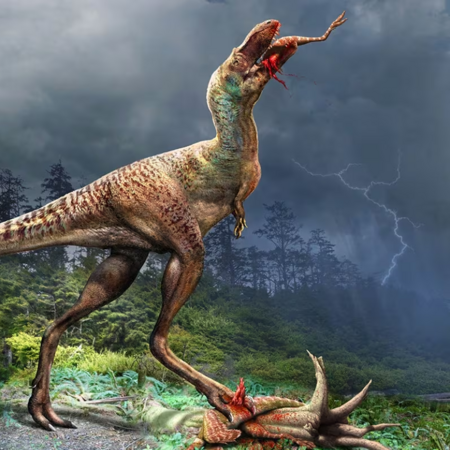 Απολίθωμα αποκαλύπτει το τελευταίο γεύμα νεαρού τυραννόσαυρου