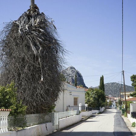 Ασίνη (το χωριό)