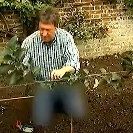 Βόρεια Κορέα: «Σύμβολο του ιμπεριαλισμού των ΗΠΑ» το μπλου τζιν παρουσιαστή στην κρατική τηλεόραση