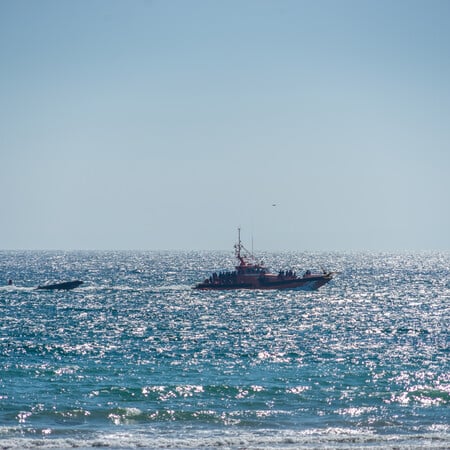 Ναυάγιο μεταναστών στον Ατλαντικό - 89 σορούς ανέσυραν οι αρχές