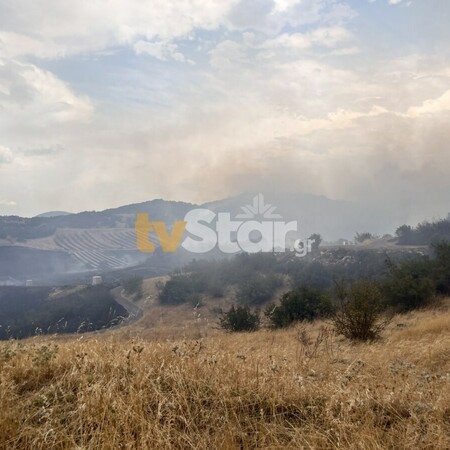 Φωτιά τώρα στον Δομοκό -Μήνυμα από το 112