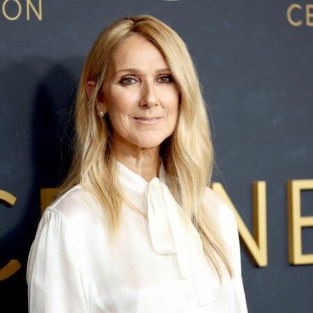 Η εντυπωσιακή εμφάνιση της Σελίν Ντιόν σε επίδειξη μόδας 