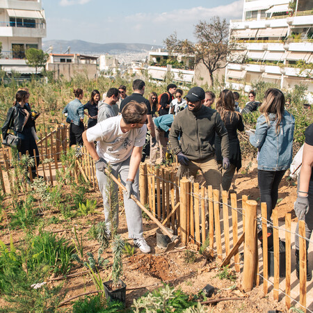 H Αθήνα έχει πλέον το δικό της micro forest χάρη στη L’ Oreal Hellas