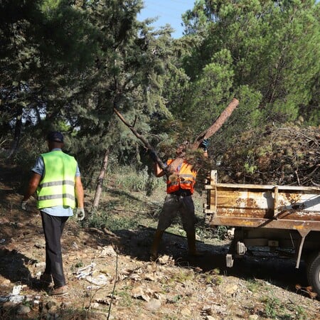 Δάση: Βροχή εκατομμυρίων για δράσεις προστασίας − υπάρχει αποτέλεσμα;