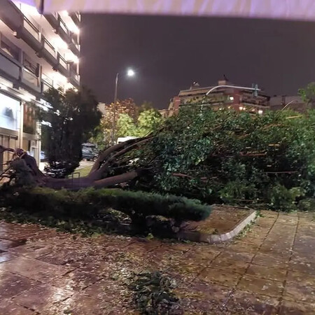 Κακοκαιρία στη Θεσσαλονίκη: Θυελλώδεις άνεμοι ξερίζωσαν δέντρα
