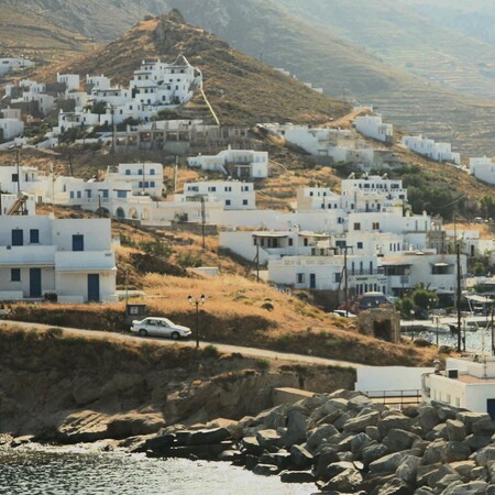 Μαζικές δηλητηριάσεις ζώων στη Σίφνο