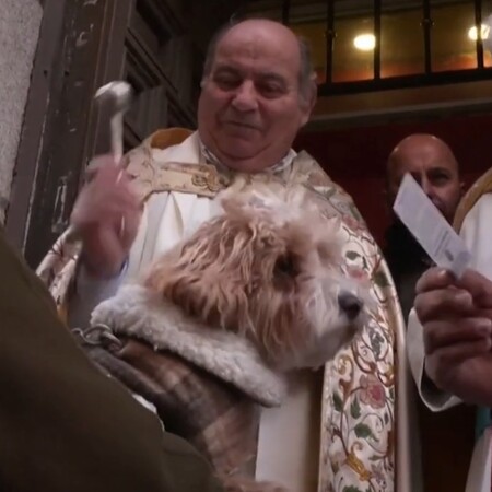 Άγιος Αντώνιος - Ισπανία: Ιερέας έρανε με αγιασμό σκύλους, γάτες και παπαγάλους