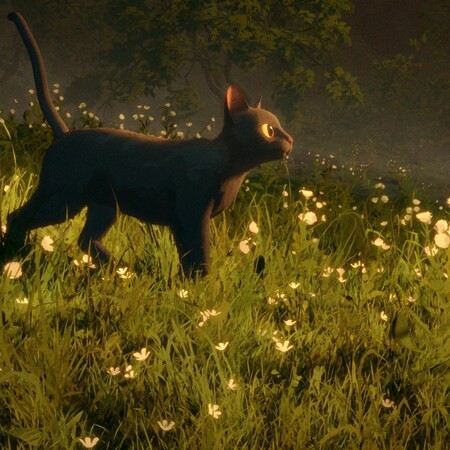 Γάτες, αμβλώσεις και εφιαλτικά σαββατοκύριακα από αύριο στους κινηματογράφους