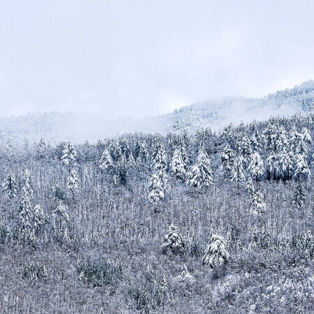 Κακοκαιρία «Coral»: Χιόνια μέχρι τη θάλασσα προβλέπει ο Τσατραφύλλιας 