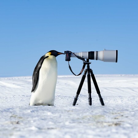 Οι νικητές και οι φιναλίστ του Nature Photography Contest 2024