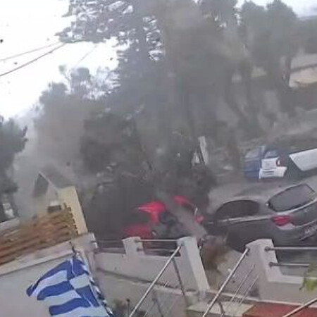 Ρόδος: Η στιγμή που ανεμοστρόβιλος ξεριζώνει δέντρο λόγω της σφοδρής κακοκαιρίας