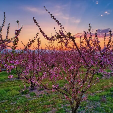 48 ώρες στη Βέροια