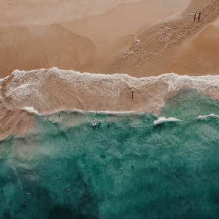 WeSeaYou: Το πρώτο ψηφιακό παρατηρητήριο για τις θαλάσσιες προστατευόμενες περιοχές