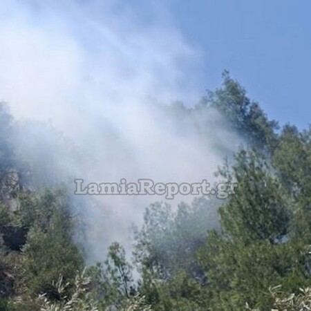 Φωτιά τώρα στη Φθιώτιδα: Καίγεται αγροτοδασική περιοχή στον Λογγό 