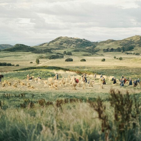 "Harvest', η νέα ταινία της Αθηνάς Ραχήλ Τσαγγάρη