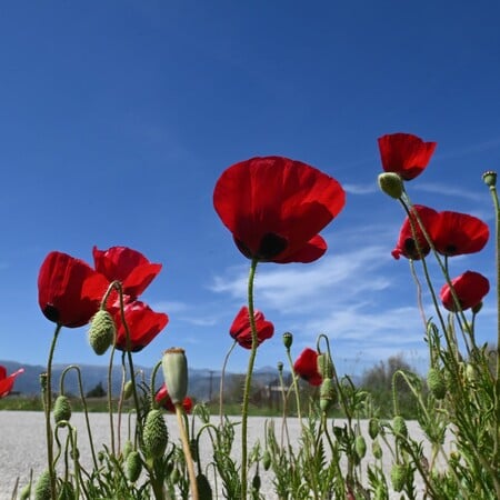 Πώς θα είναι ο καιρός την Κυριακή του Πάσχα