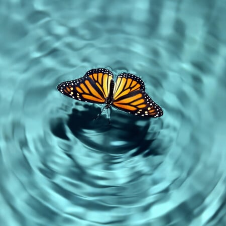 Τι είναι το Butterfly Effect και γιατί έχει γίνει viral στο TikTok