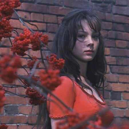 'Ενα δράμα στο κυνήγι