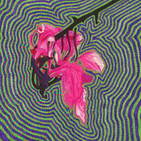 Joulia Strauss: Eudaimonia. Living in Bliss Today