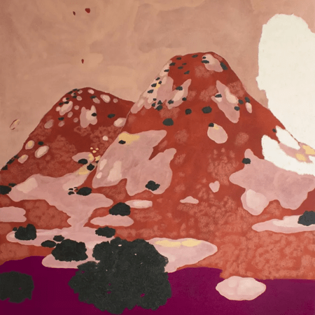 Ximena Maldonado Sánchez: cardón, carmín y ola