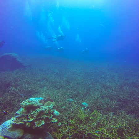 Ο άγνωστος πυθμένας: Το 99,999% του βυθού των ωκεανών παραμένει ανεξερεύνητο