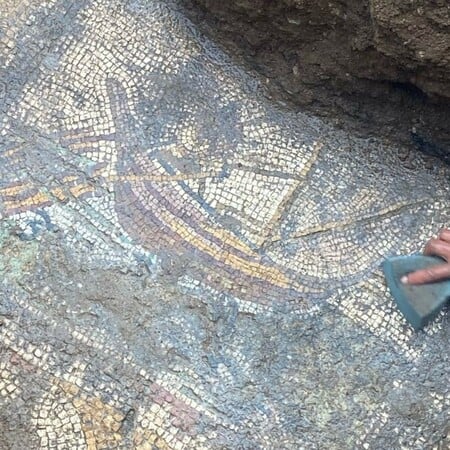 Βρέθηκε εντυπωσιακό μωσαϊκό σε ερείπια στη Νίκαια της Βιθυνίας