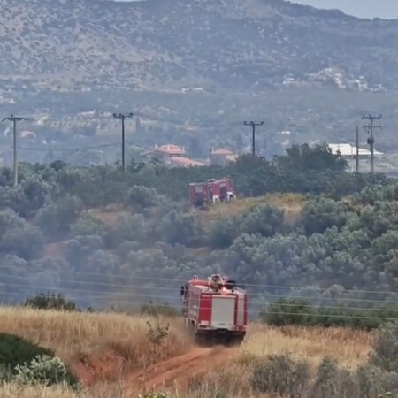 Μαρκόπουλο: Καλύτερη εικόνα από τη φωτιά - Συνεχίζεται η επιχείρηση κατάσβεσης