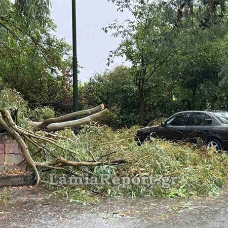 Μπουρίνι στη Λαμία: Πτώσεις δέντρων, πλημμυρισμένοι δρόμοι και πολύωρο μπλακάουτ